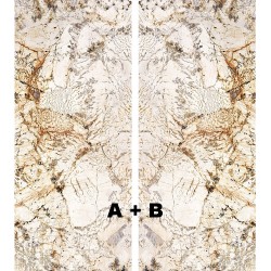 Гранитогрес Blanc Du Blanc B LUX Гранитогрес Blanc Du Blanc B LUX