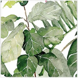 Декоративни плочки DECOR TROPICAL за баня и кухня Декоративни плочки DECOR TROPICAL за баня и кухня