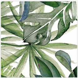 Декоративни плочки DECOR TROPICAL за баня и кухня Декоративни плочки DECOR TROPICAL за баня и кухня