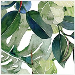 Декоративни плочки DECOR TROPICAL за баня и кухня