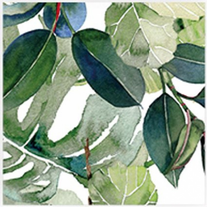 Декоративни плочки DECOR TROPICAL за баня и кухня Декоративни плочки DECOR TROPICAL за баня и кухня