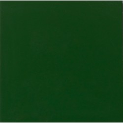 Зелени подови плочки PRIMARY GREEN NATURAL  